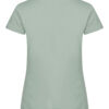 029031-615_Basic-TWomen_SageGreen_back