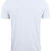 Basic-T V-neck