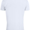 Basic Active-T