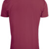 Basic Active-T